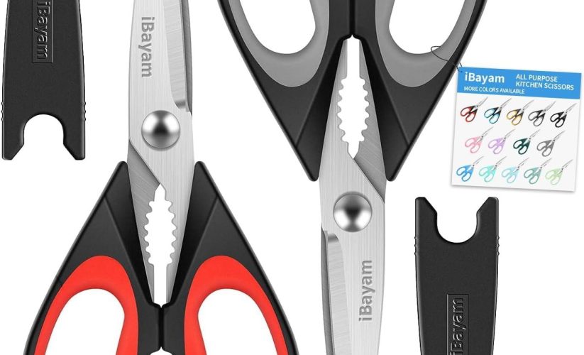 IBayam Kitchen Scissors: Heavy-Duty, Dishwasher Safe, with Sheath